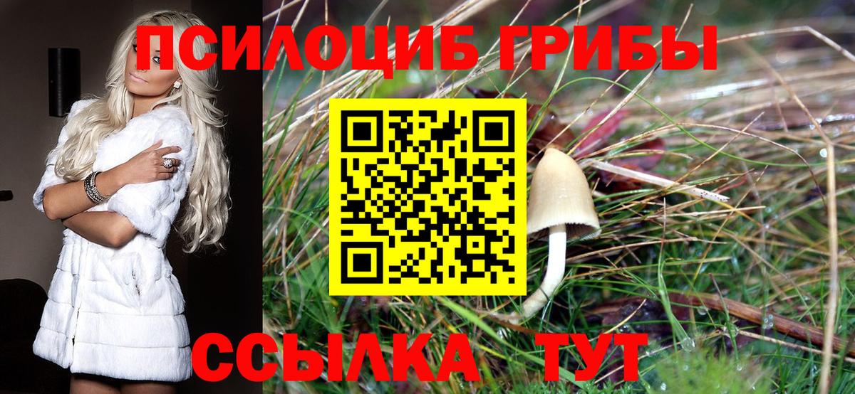 Псилоцибиновые грибы GOLDEN TEACHER Краснознаменск